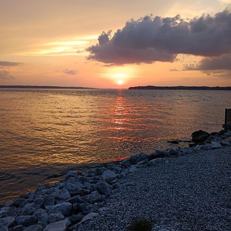 The Gemini-A Dreamy, Waterfront Tiny Cabin Rogersville Екстериор снимка