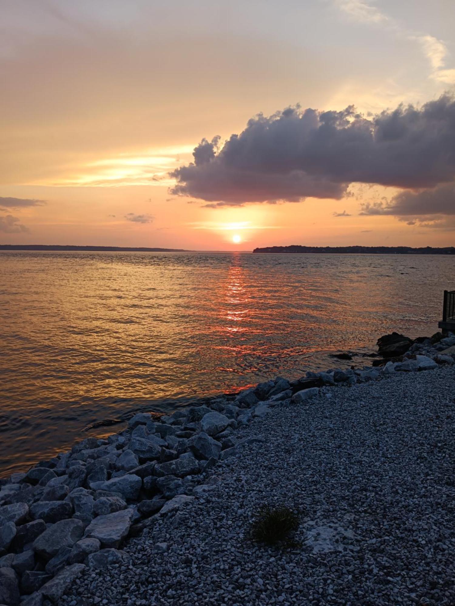 The Gemini-A Dreamy, Waterfront Tiny Cabin Rogersville Екстериор снимка